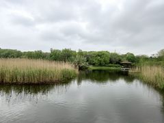 -同里国家湿地公园