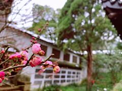 -无锡惠山寺