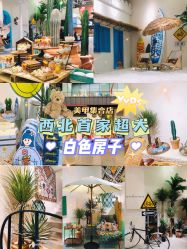-好看加白色房子