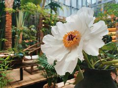 -The Flowers Coffee(南山店)