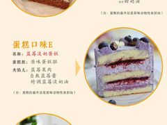 -蜜肆动物奶油蛋糕·个性定制·下午茶甜品