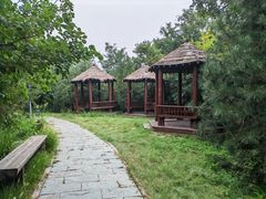 -莲花池公园