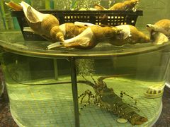 环境-新海利海鲜城·41年珠海老字号(夏湾店)