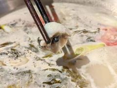 -土著渔匠·养生蝴蝶鱼(香樟路店)