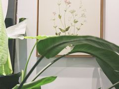 -植物学家的女儿(北马道巷店)