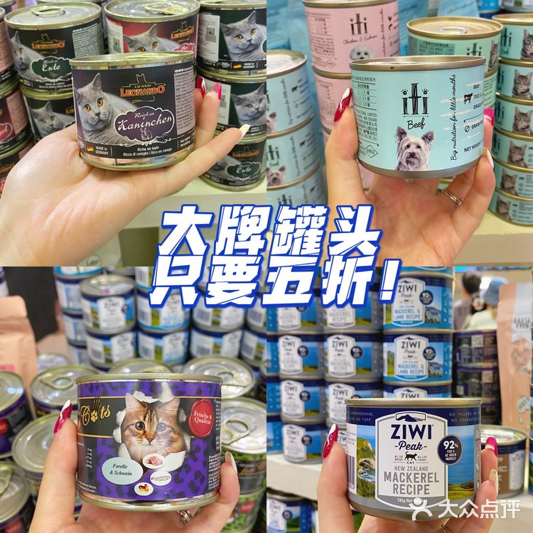 重庆超大明星宠物店｜毛孩子的快乐星球 