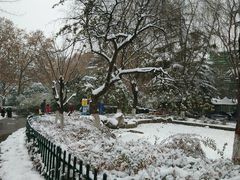 -西安市长乐公园