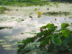 -承德避暑山庄景区