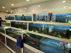 -渔家乐小海鲜(皇姑店)