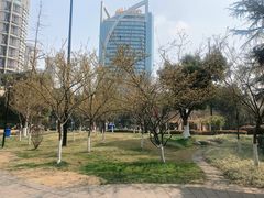 -温江公园