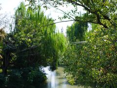 -同里国家湿地公园
