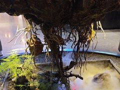 -1718海鲜姿造(苏宁宴请臻选店)