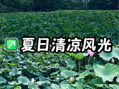 -龙头寺公园