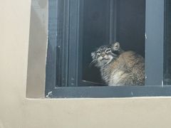 -青藏高原野生动物园