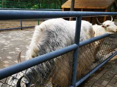 -长白岛森林公园