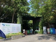 公园东门入口-华侨城湿地公园