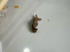 -白老大羊杂碎稍麦