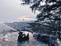 -信号山公园