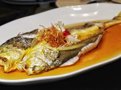 -梧桐花园餐厅(新城店)