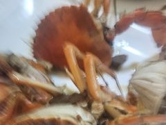 招牌煎蟹-莲花公园煎蟹(总店)