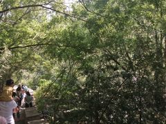 -碓臼峪自然风景区