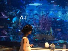 -迪拜帆船酒店海底餐厅