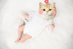 -小熊维尼高端儿童摄影(宝安旗舰店)