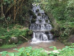 -吉隆坡雀鸟公园
