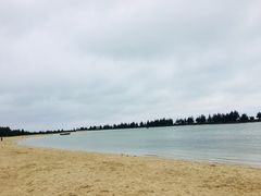 景点-东郊椰林