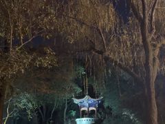 -西安曲江寒窑遗址公园