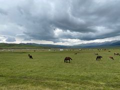 -新疆那拉提国家旅游度假区