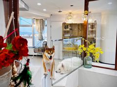 -共舞时光猫咖·狗咖(新街口店)