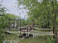 -长兴太湖图影湿地文化园