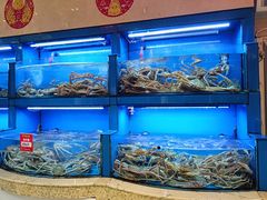 -金鼎大酒店·中餐