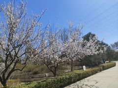 -永定河休闲森林公园