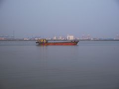 -大湾区中央湿地公园