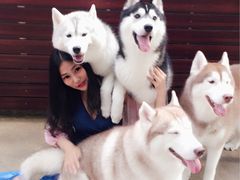 -TrueLove @ Neverland (Husky Cafe)
