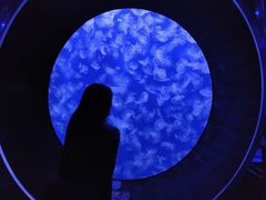 -成都浩海立方海洋公园