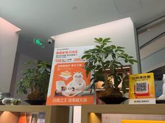 -长风拨筋养身(金虹桥店)