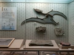 -浙江自然博物院(杭州馆)
