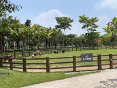 -珠海海泉湾神秘岛亲子乐园