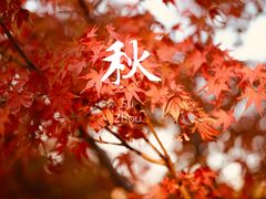 -白塘生态植物园