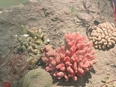 -浙江自然博物院(杭州馆)