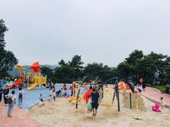 -铁山坪森林公园