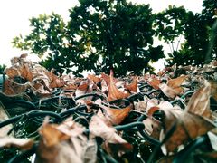 -河海大学(常州校区)