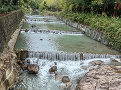 -广州白江湖森林公园