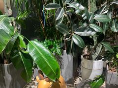 -柏粤汇PARKVIEW KTV(欢乐海岸店)