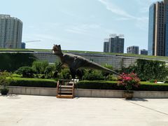 -陕西自然博物馆