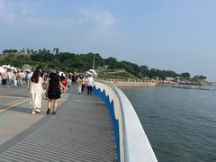 -小麦岛公园