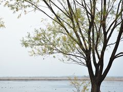 -野鸭湖国家湿地公园